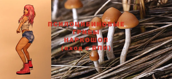 таблы Краснослободск