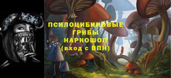 таблы Краснослободск
